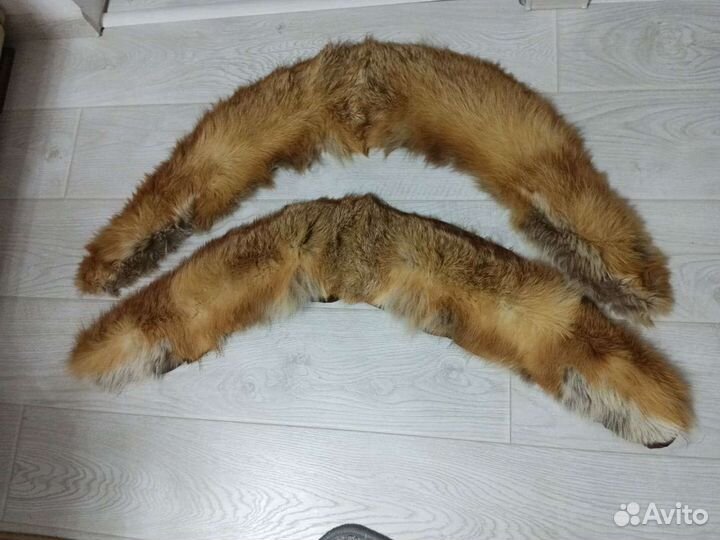 Лисий воротник