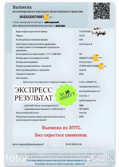 Выписка из эптс