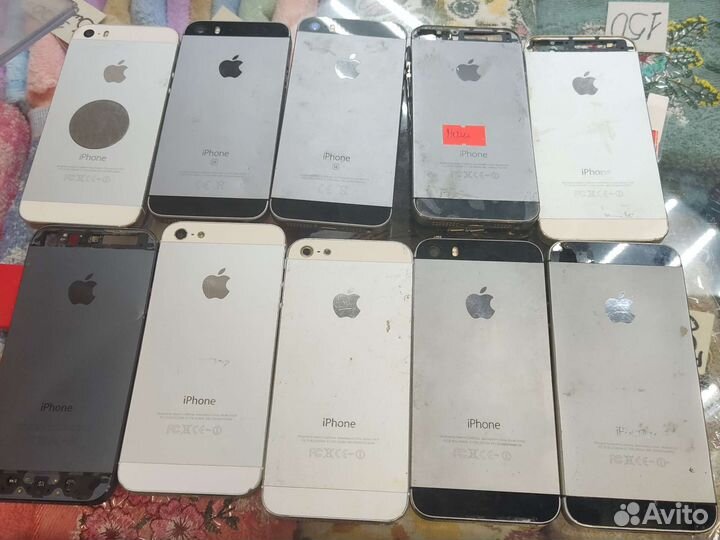 Камера на iPhone 8 plus