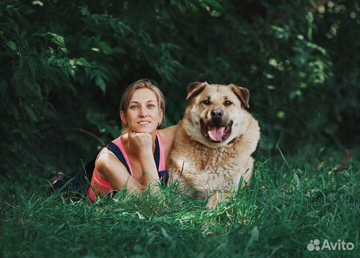 Серьёзный большой друг ищет лучший дом