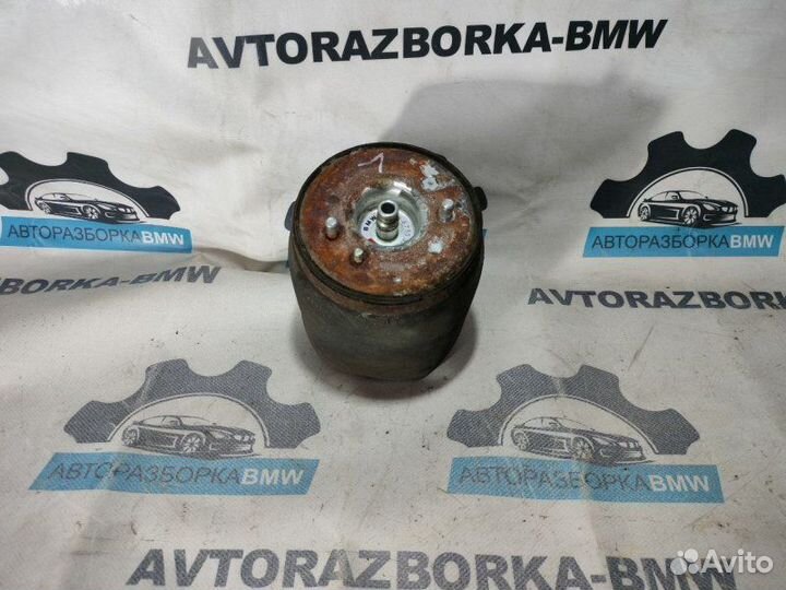 Пневмобаллон задний левый Bmw X5 E53 M57D30 306D2