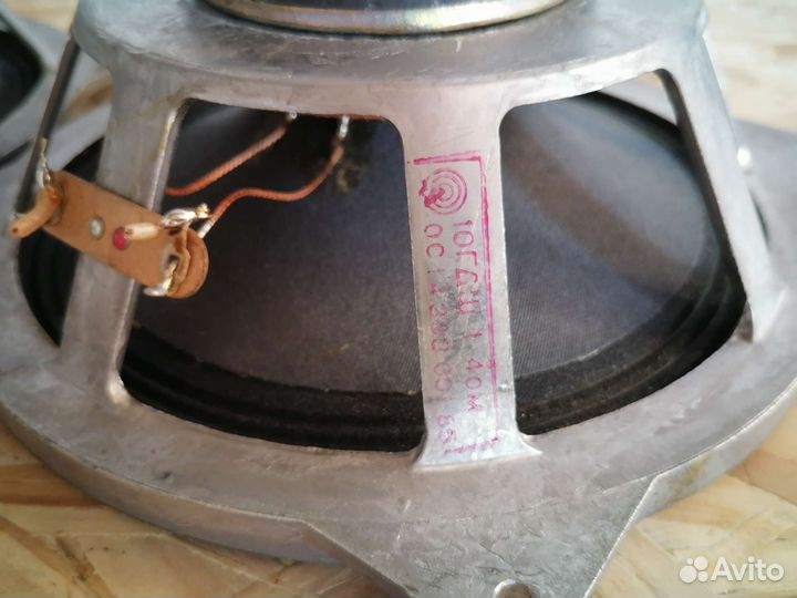 Динамики 10 гдш-1