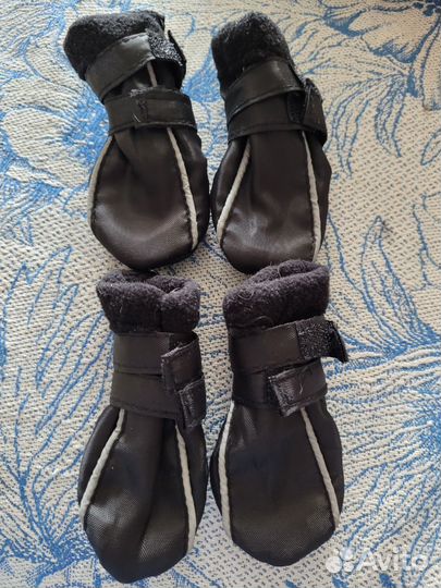 Одежда для собак мелких пород