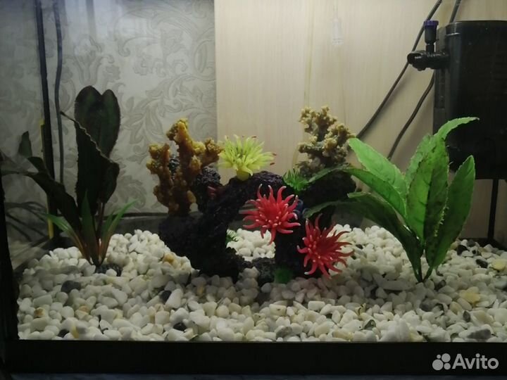 Аквариум