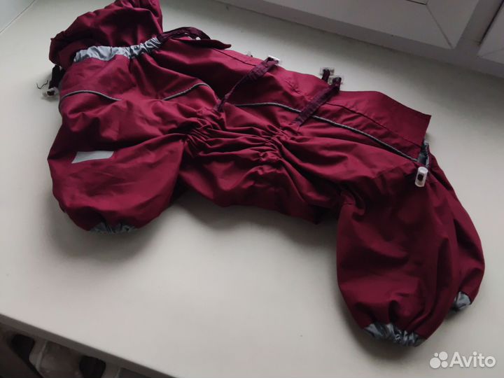 Одежда для собаки