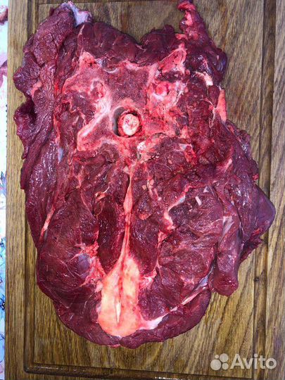 Продам мясо лося