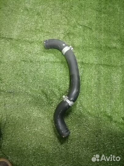 Патрубок охлаждения (радиатора) 19501-RBB-000верхн