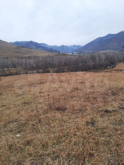 Участок 3,5 га (СНТ, ДНП)