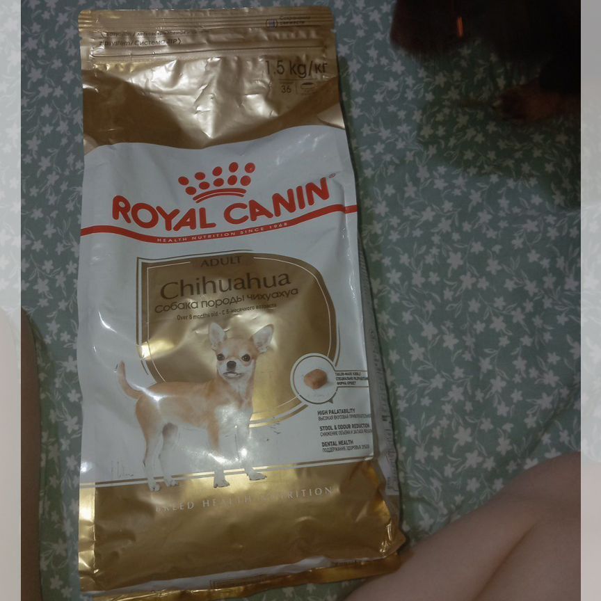 Сухой корм для собак royal canin