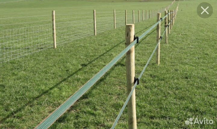 Электронный пастух