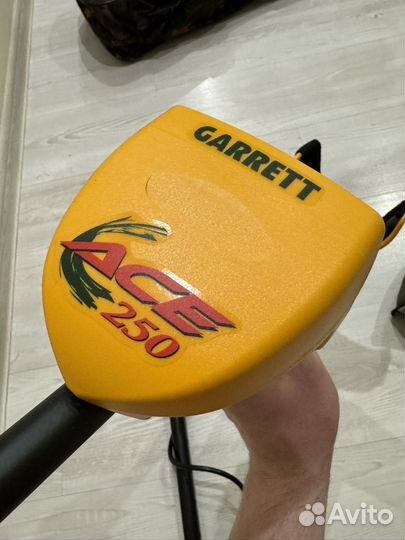 Металлоискатель Garrett ace 250