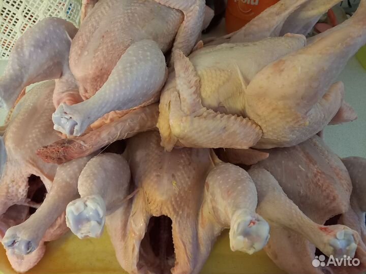 Мясо бройлера