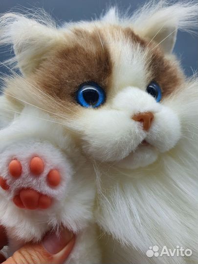 Реалистичная игрушка. Кот Чонгер. Новый