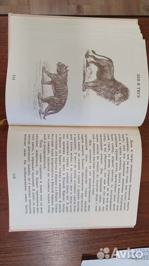 Детский мир из природы 1 часть ркш 3 класс