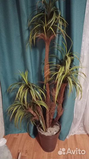 Пальма драцена искусственная
