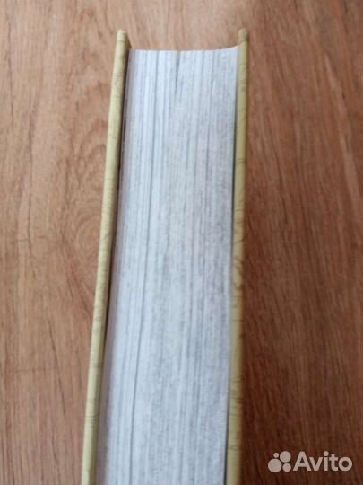 Книга. Манга