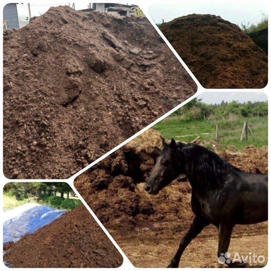 Чернозём/Перегной конский и коровий с доставкой