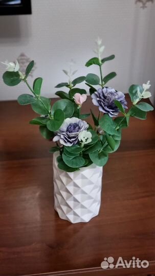 Эвкалипт с цветами в кашпо