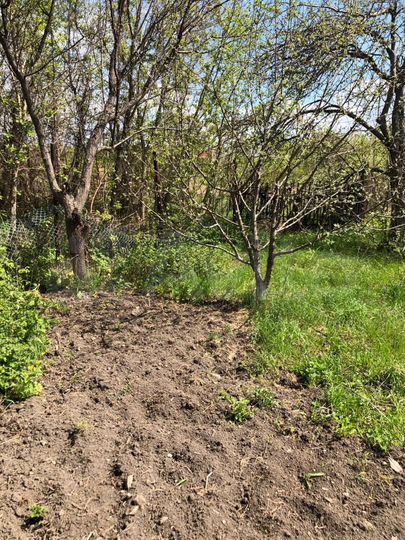 Участок 8 сот. (ИЖС)