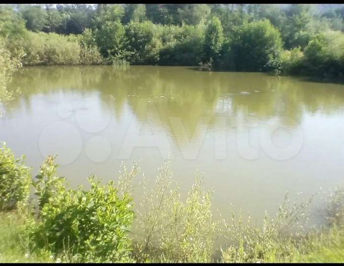 Участок 25 га (СНТ, ДНП)