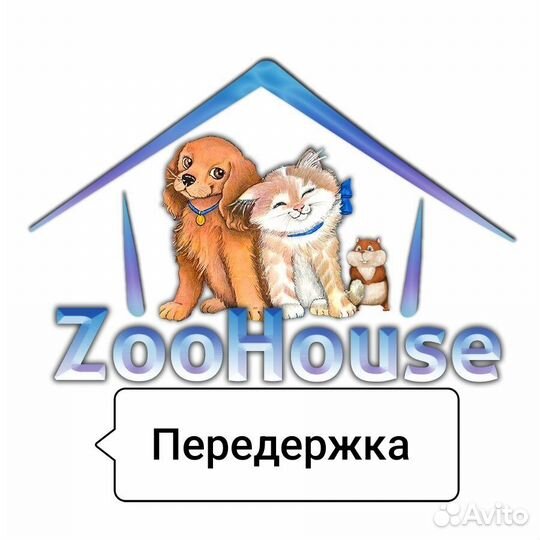 Передержка домашних животных