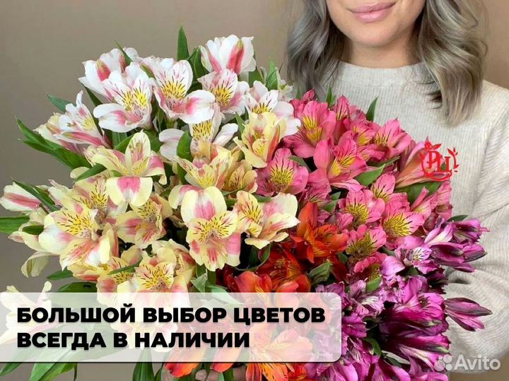 Альстромерии с гарнтией и доставкой