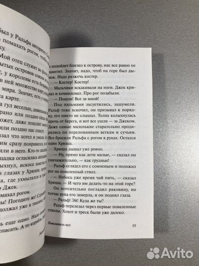 Книга «Повелитель мух»