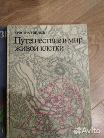 Шахматная литература