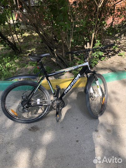 Merida matts tfs champion-d