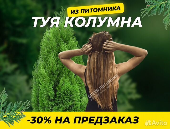 Смарагд,Брабант,Колумна