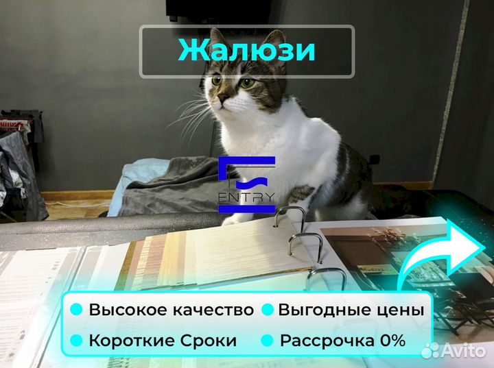 Жалюзи