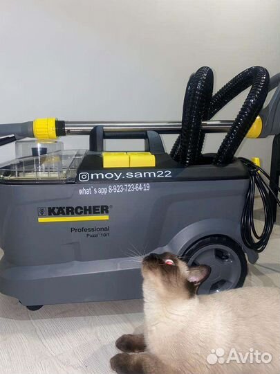 Аренда моющего пылесоса и пароочистителя