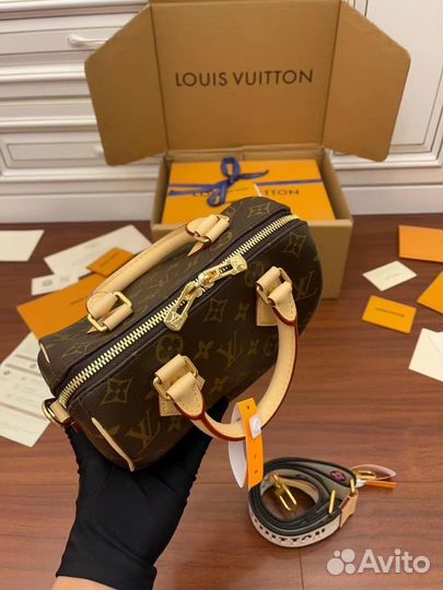 Сумка Louis Vuitton Speedy 20