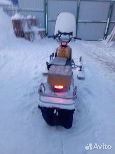 Dingo T125
