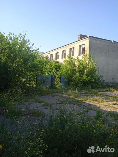 Покос травы -спил деревьев