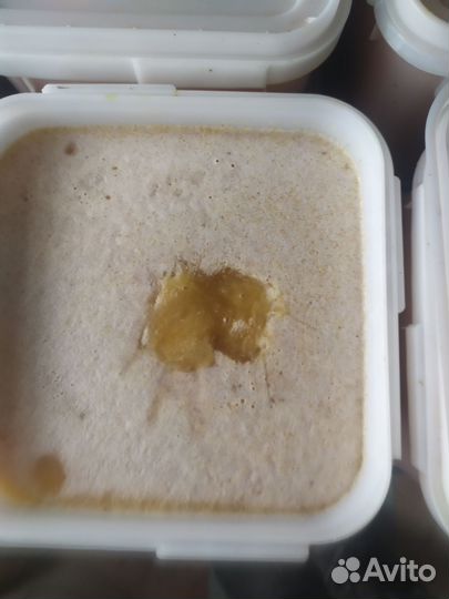 Мёд липого-цветочный