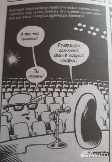 Эволюция для школьников