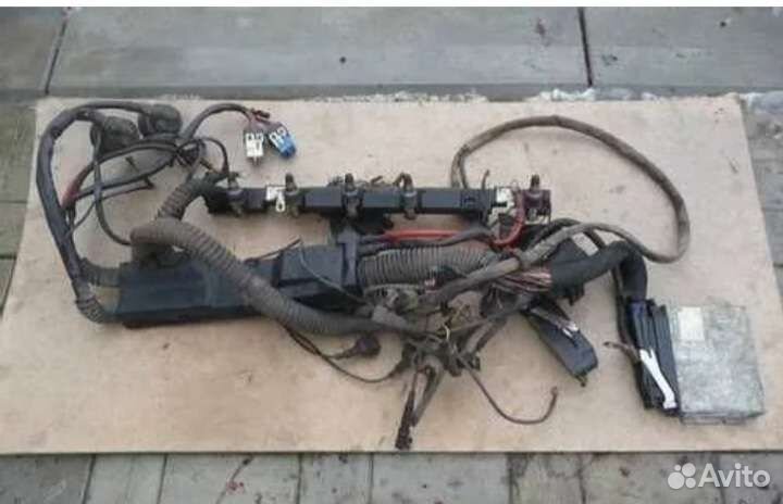 Проводка мозги