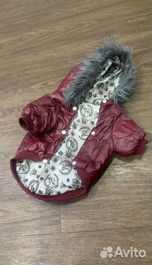 Одежда для маленьких собак