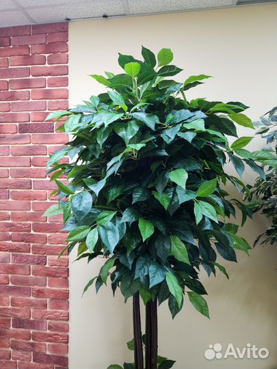 Манго 180см Деревья искусственные домой в кафе