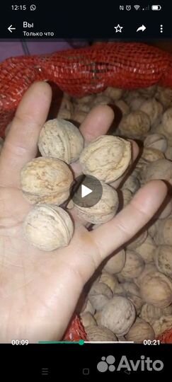 Грецкий орех в скорлупе 2023