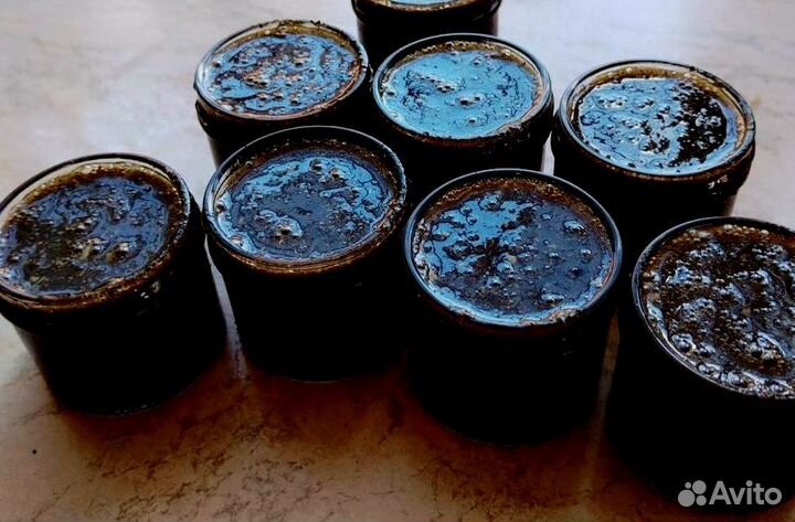 Продлевающий мужской мёд