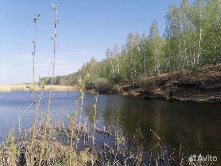 Поездки в Аркаим из Тюмени