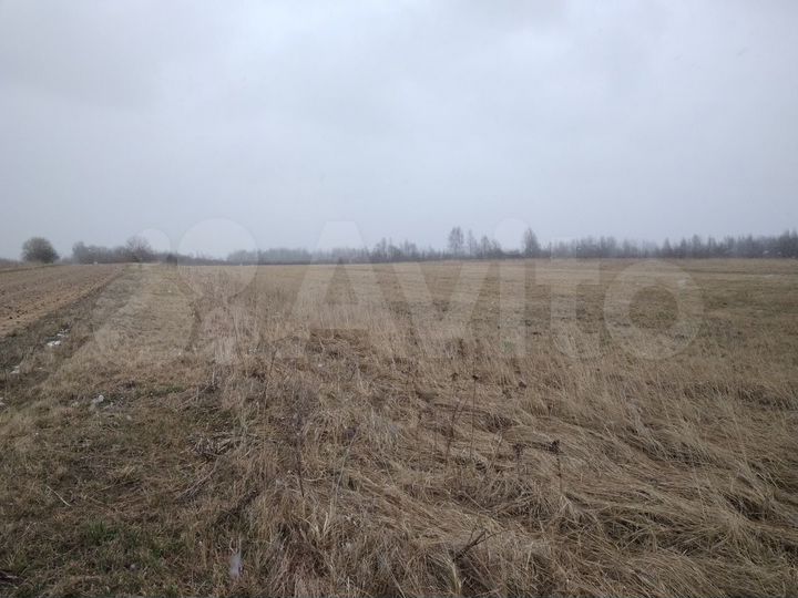 Участок 2,5 га (СНТ, ДНП)