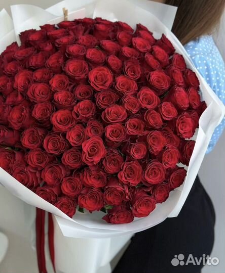 Красные розы букет, 101 роза, 51 роза, 25 роз