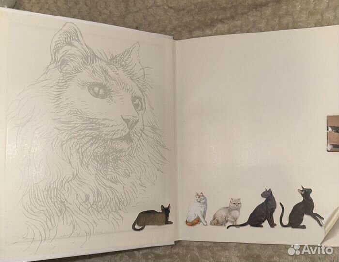 Книга про кошек детская