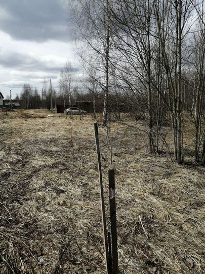 Участок 8 сот. (ИЖС)