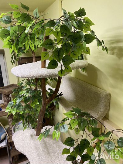 Когтеточка для кошек новая