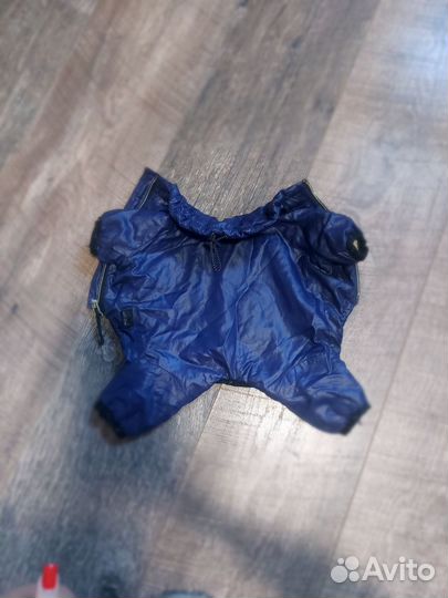 Одежда для мини собаки Puppy angel