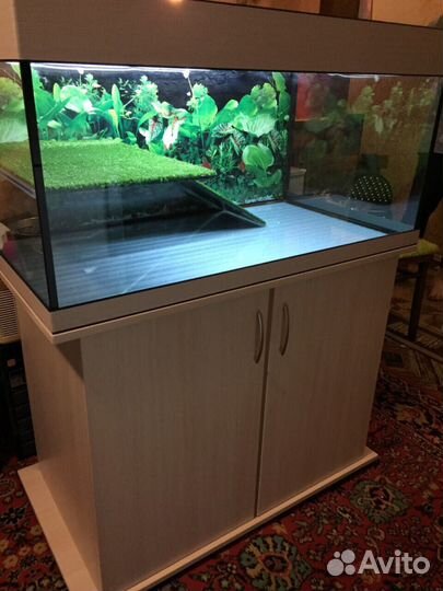 Террариум 100 литров